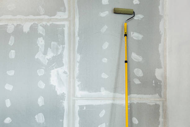 Wallpaper Removal and Painting in Mount Olive, IL